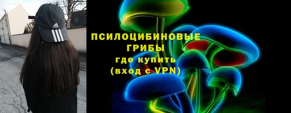 PSILOCYBIN Богданович