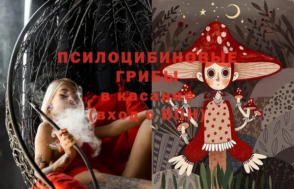 трава Ладушкин