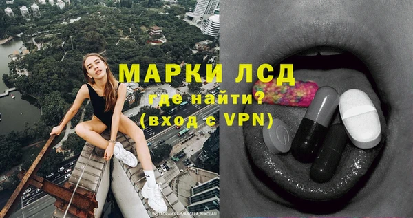 гидра Горнозаводск