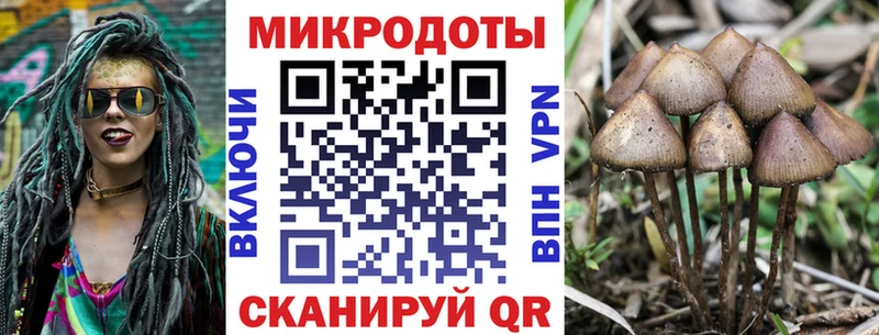 Псилоцибиновые грибы мухоморы  мориарти формула  Дмитриев 