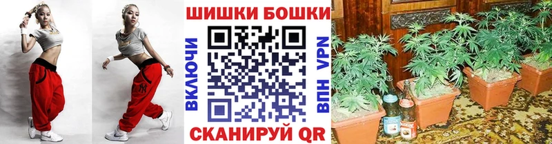 где можно купить   Дмитриев  Каннабис THC 21% 